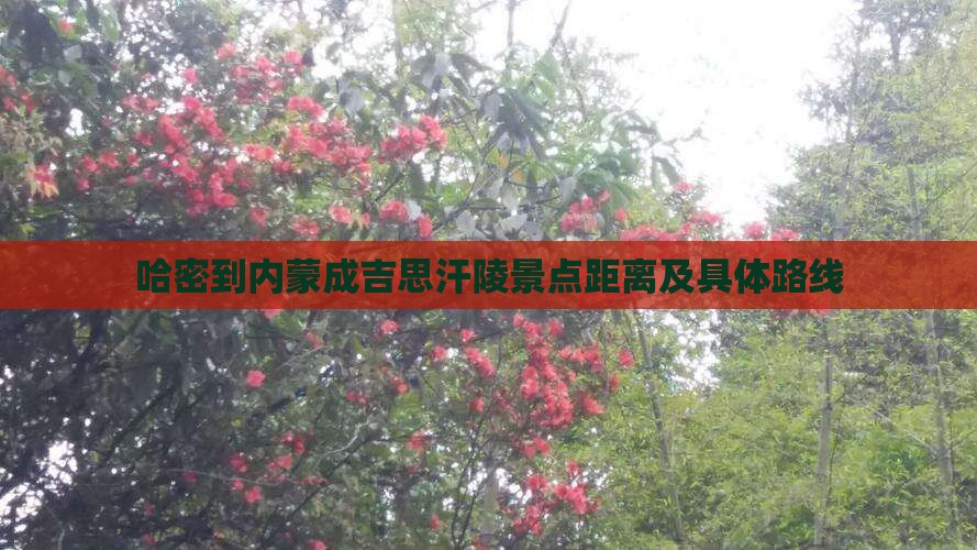 哈密到内蒙成吉思汗陵景点距离及具体路线