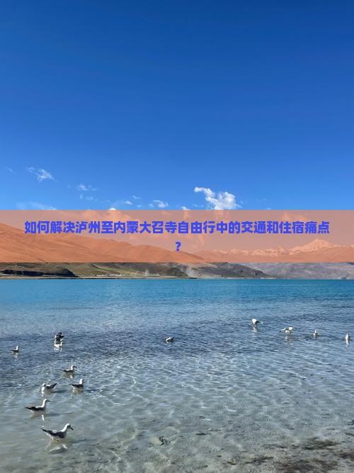 如何解决泸州至内蒙大召寺自由行中的交通和住宿痛点？