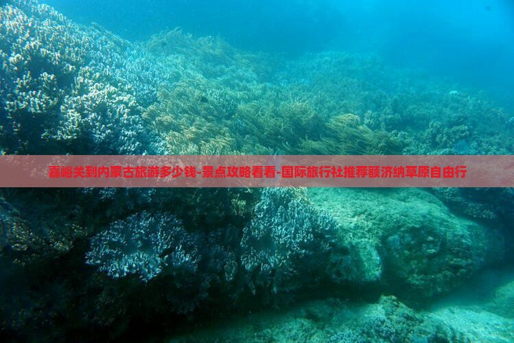 嘉峪关到内蒙古旅游多少钱-景点攻略看看-国际旅行社推荐额济纳草原自由行