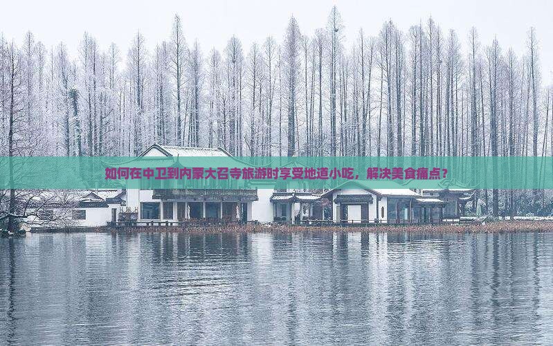 如何在中卫到内蒙大召寺旅游时享受地道小吃，解决美食痛点？