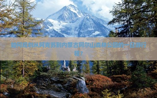 如何规划从阿克苏到内蒙古阿尔山森林公园的一日游行程？