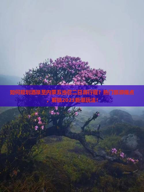 如何规划酒泉至内蒙五当召二日游行程？热门旅游痛点，解锁2023新潮玩法！