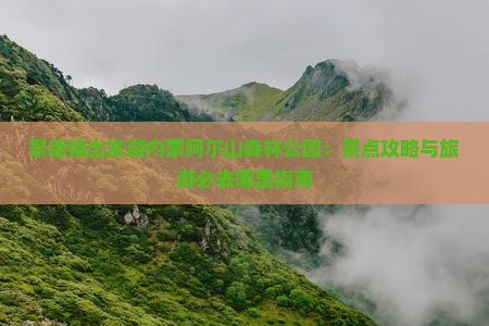 景德镇出发游内蒙阿尔山森林公园：景点攻略与旅游必去哪里指南