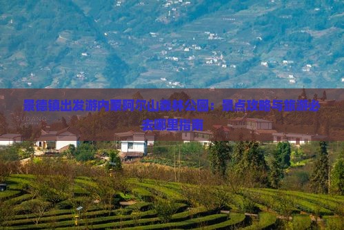 景德镇出发游内蒙阿尔山森林公园：景点攻略与旅游必去哪里指南
