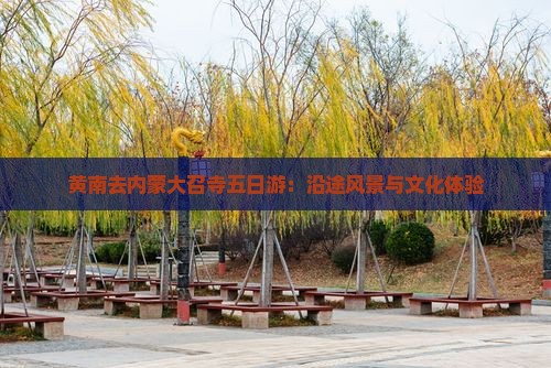 黄南去内蒙大召寺五日游：沿途风景与文化体验