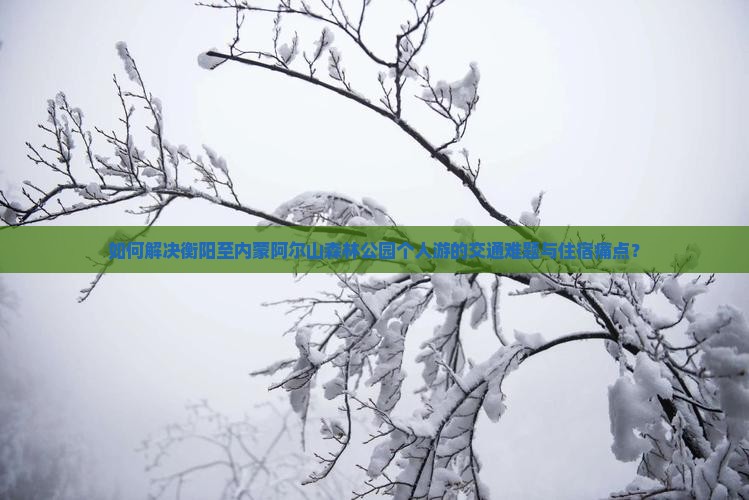 如何解决衡阳至内蒙阿尔山森林公园个人游的交通难题与住宿痛点？