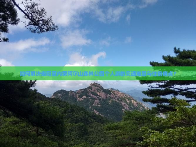 如何解决衡阳至内蒙阿尔山森林公园个人游的交通难题与住宿痛点？