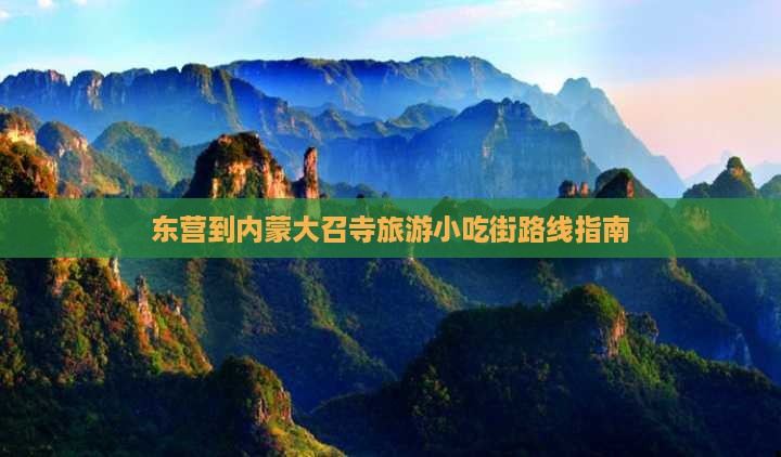 东营到内蒙大召寺旅游小吃街路线指南