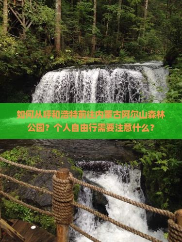 如何从呼和浩特前往内蒙古阿尔山森林公园？个人自由行需要注意什么？