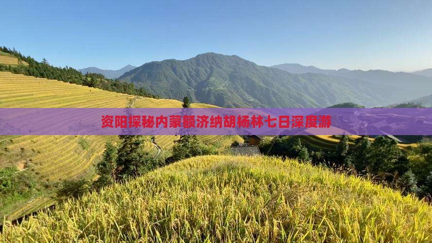 资阳探秘内蒙额济纳胡杨林七日深度游
