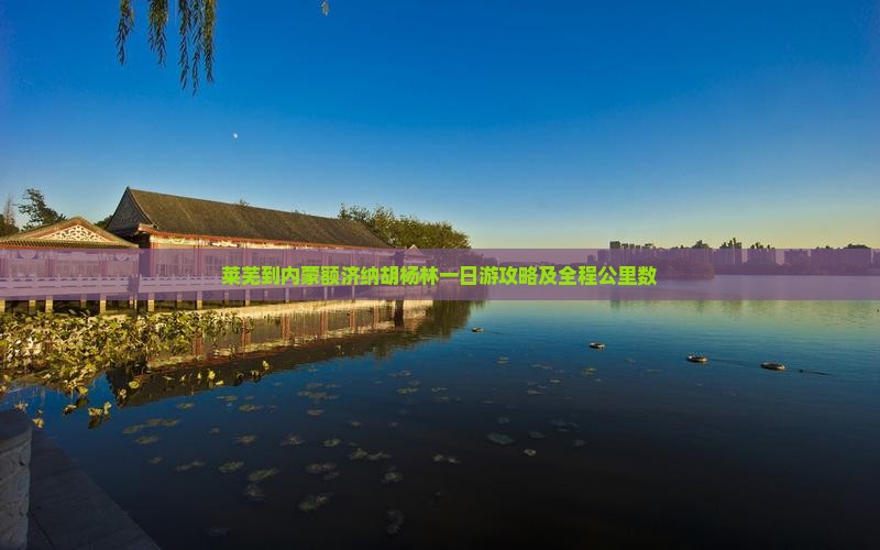 莱芜到内蒙额济纳胡杨林一日游攻略及全程公里数