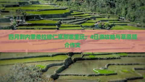 四月到内蒙希拉穆仁草原哪里玩：4日游攻略与草原简介作文