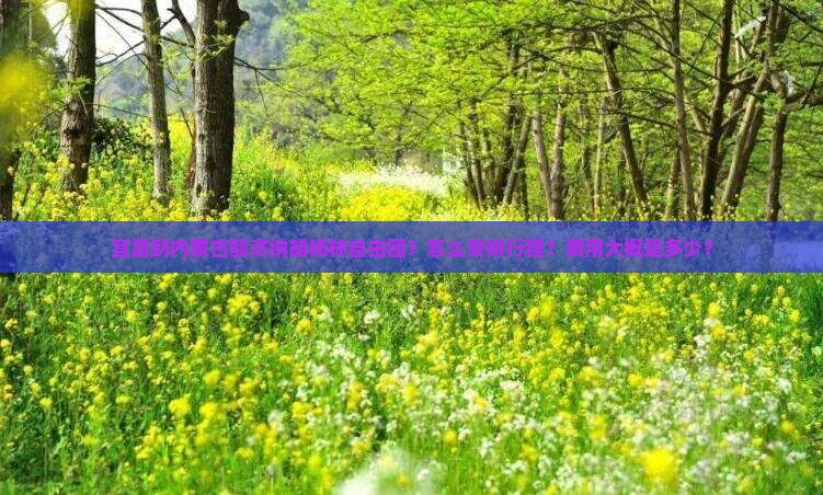 宜昌到内蒙古额济纳胡杨林自由团？怎么安排行程？费用大概是多少？