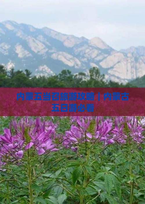 内蒙五当召旅游攻略｜内蒙古五日游必看