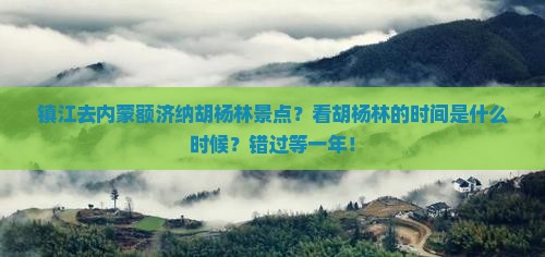 镇江去内蒙额济纳胡杨林景点？看胡杨林的时间是什么时候？错过等一年！