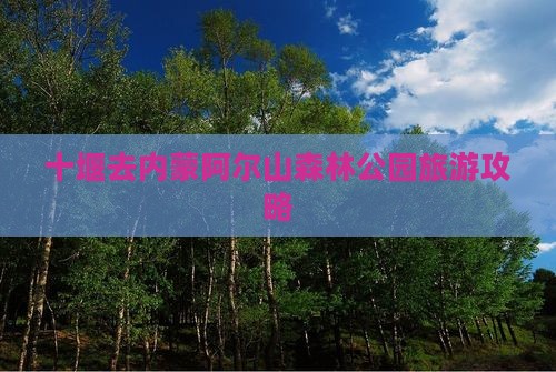 十堰去内蒙阿尔山森林公园旅游攻略