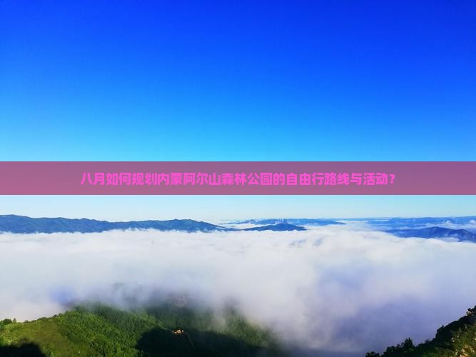 八月如何规划内蒙阿尔山森林公园的自由行路线与活动？