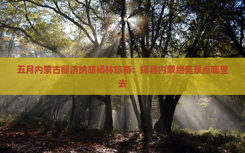 五月内蒙古额济纳胡杨林旅游：探寻内蒙绝美景点哪里去