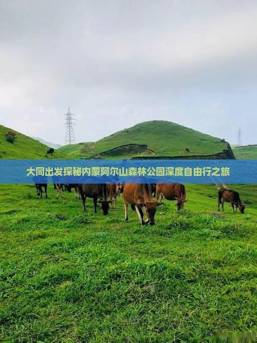 大同出发探秘内蒙阿尔山森林公园深度自由行之旅