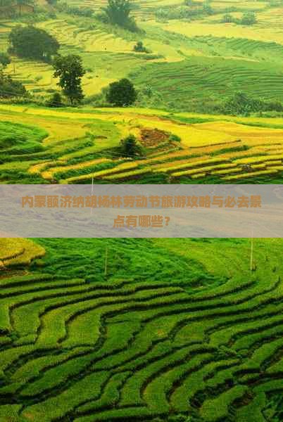 内蒙额济纳胡杨林劳动节旅游攻略与必去景点有哪些？
