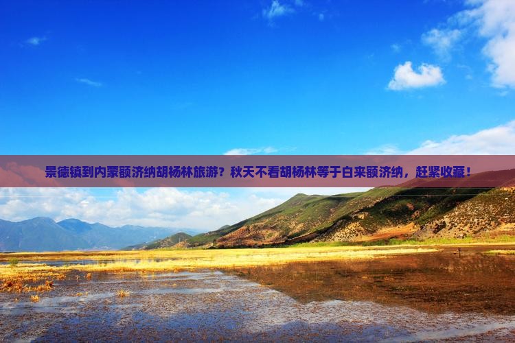 景德镇到内蒙额济纳胡杨林旅游？秋天不看胡杨林等于白来额济纳，赶紧收藏！