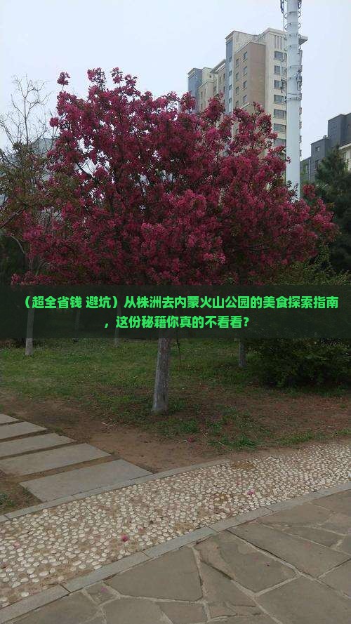 株洲到内蒙乌兰哈达火山地质公园旅游小吃 株洲到内蒙乌兰哈达火山地质公园旅游小吃