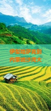 伊犁哈萨克到内蒙响沙湾大型旅游团