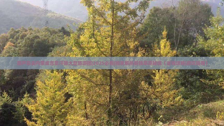 葫芦岛去内蒙成吉思汗陵大型旅游团