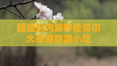 昭通到内蒙呼伦贝尔大草原旅游小吃