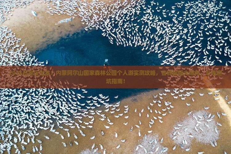 石家庄到内蒙阿尔山国家森林公园个人游