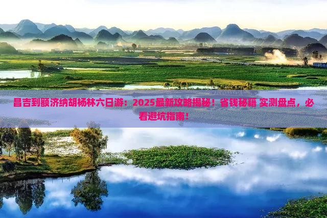 昌吉到内蒙额济纳胡杨林六日游