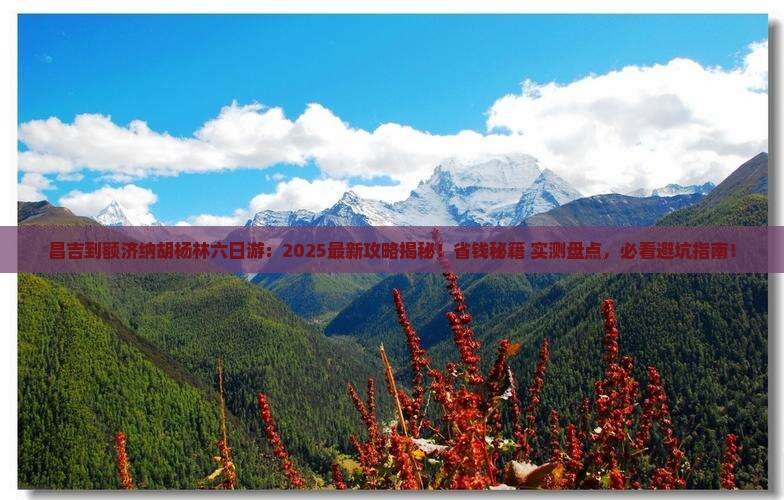 昌吉到内蒙额济纳胡杨林六日游