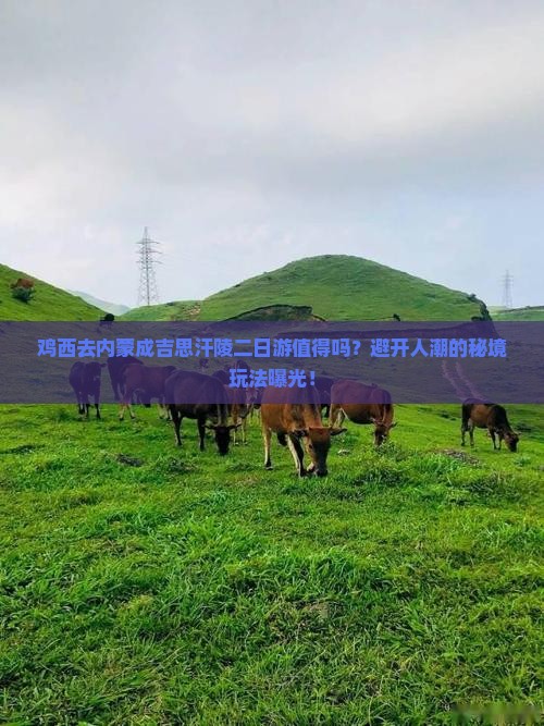 鸡西去内蒙成吉思汗陵二日游 鸡西去内蒙成吉思汗陵二日游