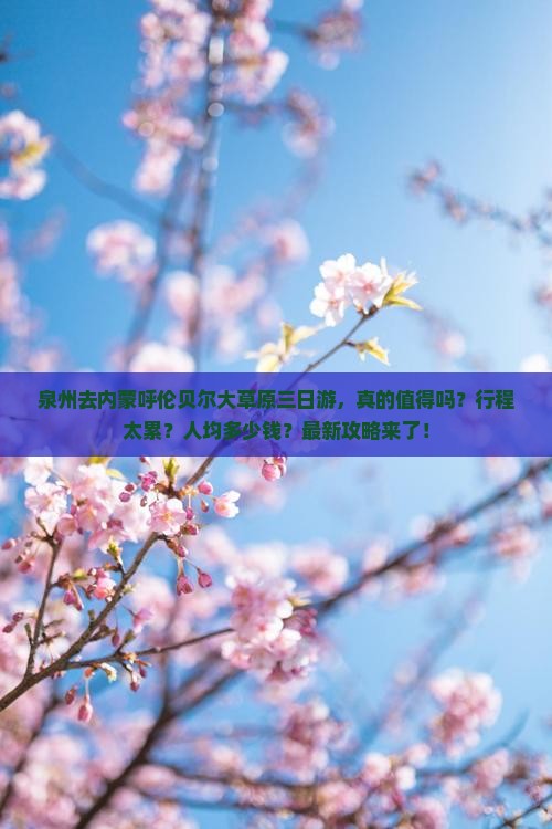 泉州去内蒙呼伦贝尔大草原三日游