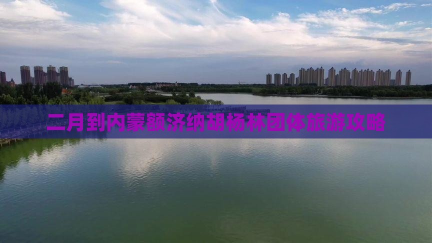 二月到内蒙额济纳胡杨林团体旅游