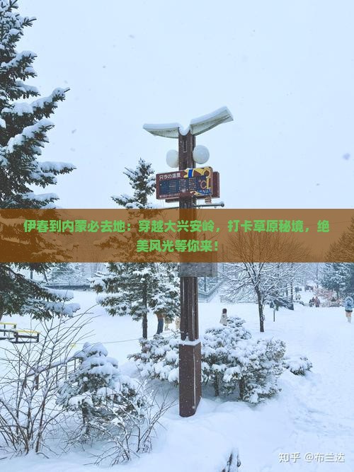 伊春到内蒙必去地