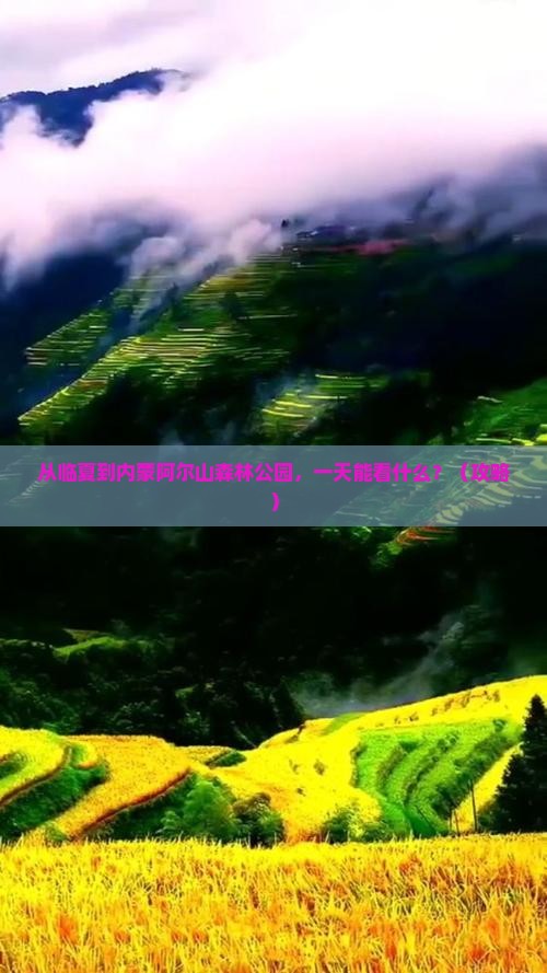 临夏到内蒙阿尔山国家森林公园一日游