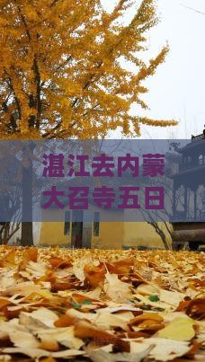 湛江去内蒙大召寺五日游