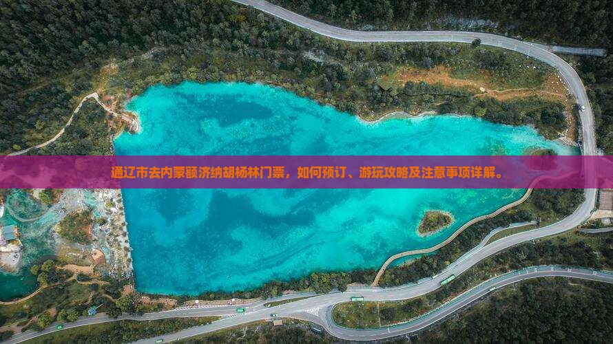通辽市去内蒙额济纳胡杨林门票