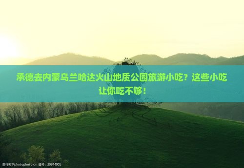 承德去内蒙乌兰哈达火山地质公园旅游小吃