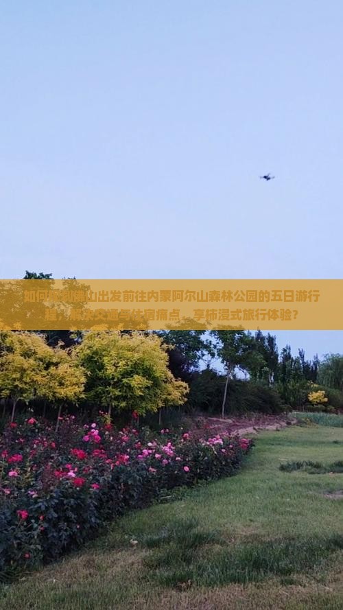如何规划佛山出发前往内蒙阿尔山森林公园的五日游行程，解决交通与住宿痛点，享柿浸式旅行体验？