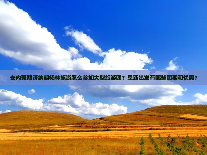 去内蒙额济纳胡杨林旅游怎么参加大型旅游团？阜新出发有哪些团期和优惠？