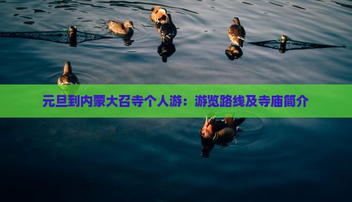 元旦到内蒙大召寺个人游：游览路线及寺庙简介