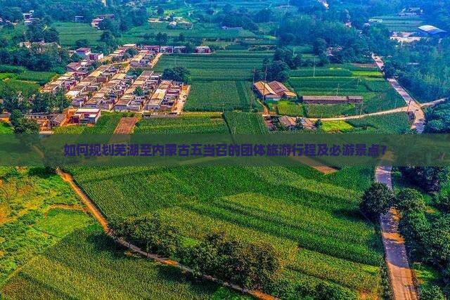 如何规划芜湖至内蒙古五当召的团体旅游行程及必游景点？