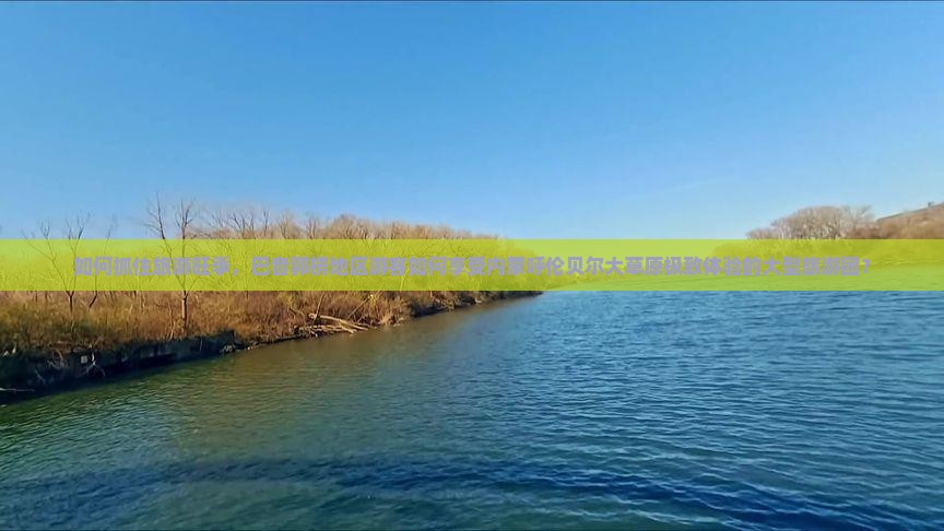 如何抓住旅游旺季，巴音郭楞地区游客如何享受内蒙呼伦贝尔大草原极致体验的大型旅游团？