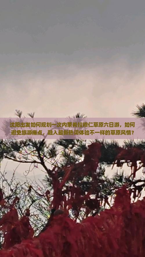 沈阳出发如何规划一次内蒙希拉穆仁草原六日游，如何避免旅游痛点，融入最新热词体验不一样的草原风情？