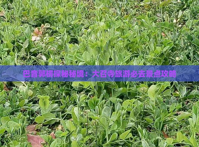 巴音郭楞探秘秘境:大召寺旅游必去景点攻略 巴音郭楞探秘秘境:大召寺旅游必去景点攻略