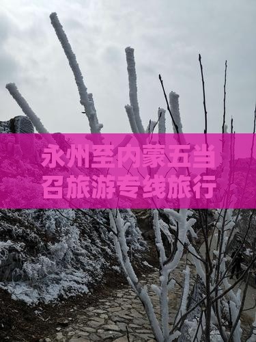 永州至内蒙五当召旅游专线旅行社