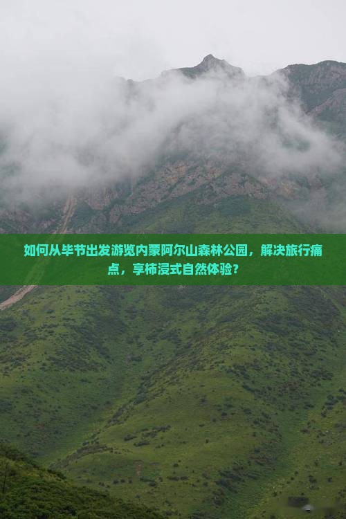 如何从毕节出发游览内蒙阿尔山森林公园,解决旅行痛点,享柿浸式自然体验? 如何从毕节出发游览内蒙阿尔山森林公园,解决旅行痛点,享柿浸式自然体验?
