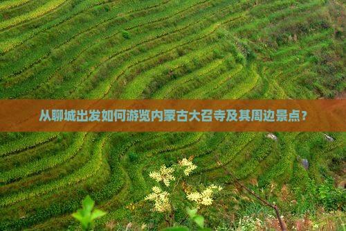 从聊城出发如何游览内蒙古大召寺及其周边景点？